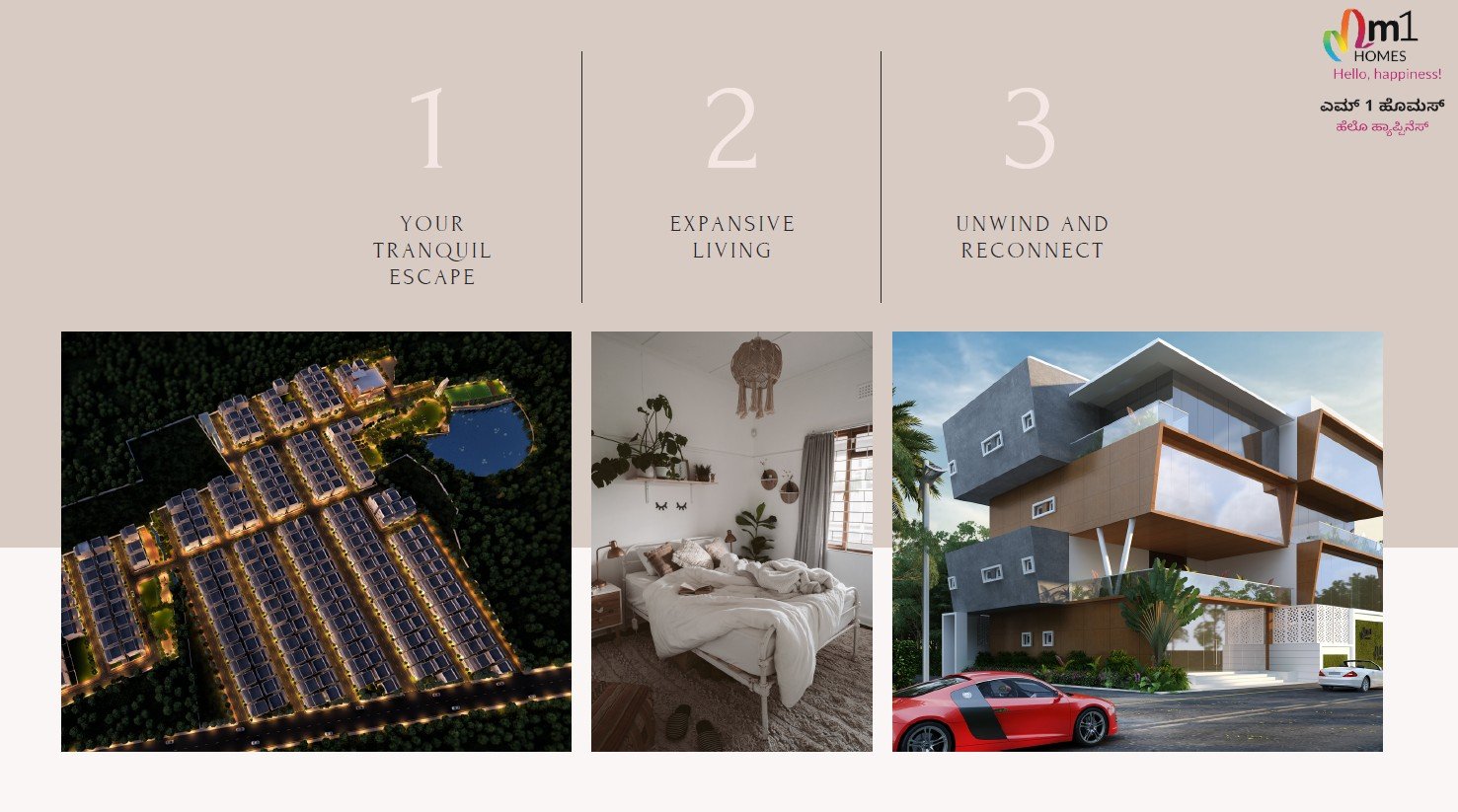 Terra Alegria project highlights